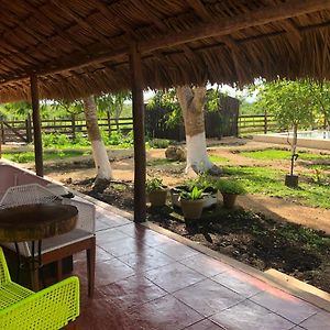 Hotel Amor Panaba